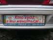 DSC03516.jpg
