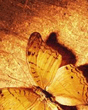 0667_1.jpg