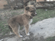 DSC00061.jpg