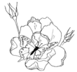 butterfly_flowers_coloring_pages_l.gif