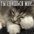 5874526.gif