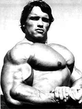Arnold_Shvarcenegger4140_6.jpg