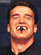 Arnold_Shvarcenegger75734_6.jpg