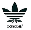 Canabis_adik.jpg