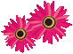 Flowers.png