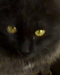 Photo_0001.jpg