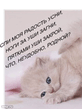 Spi_moja_radost_.jpeg