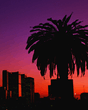Skyline_1_.jpg