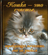 Koshka.jpeg