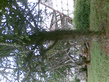 26092008_125_.jpg