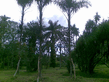26092008_126_.jpg