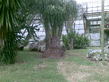 26092008_128_.jpg