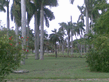 26092008_137_.jpg