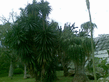 26092008_127_.jpg