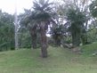 26092008_129_.jpg