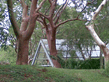 26092008_131_.jpg