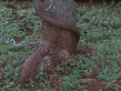 26092008_135_.jpg