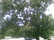 26092008_138_.jpg