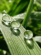 Voledar_Nature_2384030.jpg