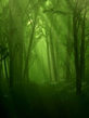 Voledar_nature_239425.jpg