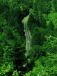 Voledar_nature_44887.jpg