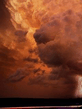 Voledar_nature_568914.jpg
