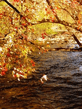 Voledar_nature_569321.jpg