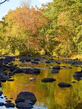 Voledar_nature_632146.jpg