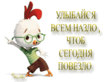 Цыпленок цыпа!.gif