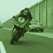 Мото маневры!.gif