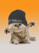 Котяра рэпер!.gif