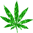082.gif