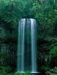 preview_p_65988_66183.jpg