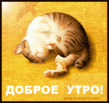 dobroe_utro_022utro.gif