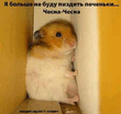 _.jpeg