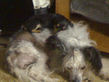 25082009037.jpg