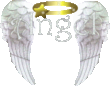 Ангельские крылья.png