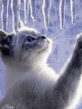 wapos_ru_6_3512.png