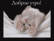 124.gif