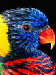 foto240x320_ru_animal_birds_0134.jpg