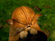 x_58734b73.jpg