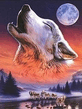 Wolf.jpeg