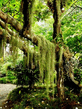 Voledar_Nature_421815.jpg