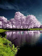 Voledar_Pictures_376221.jpg