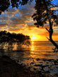 Voledar_Pictures_5452897.jpg
