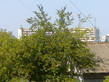 _B_0008.jpg