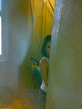 13092009179.jpg