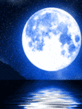 Delfine_24.gif