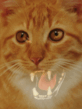 kot_09.gif