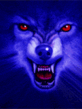 volk_37.gif